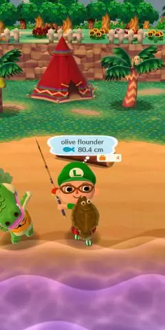 Animal Crossing: Pocket Camp