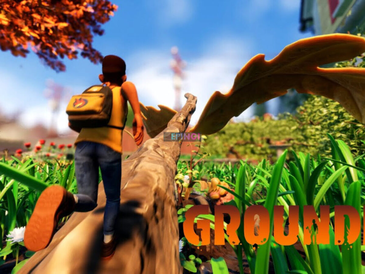 grounded game ps4