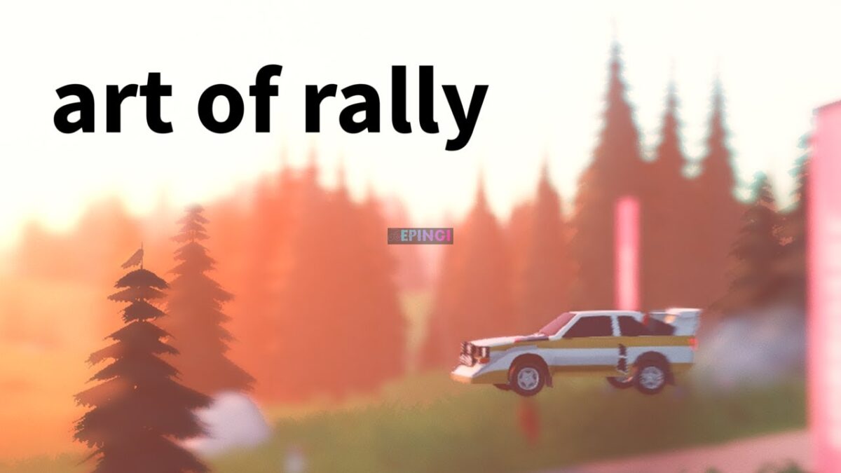 art of rally controller settings