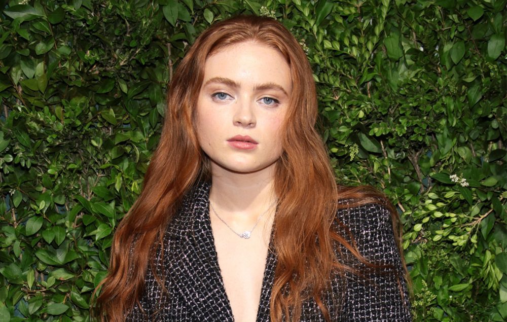 Sadie Sink Net Worth 2024