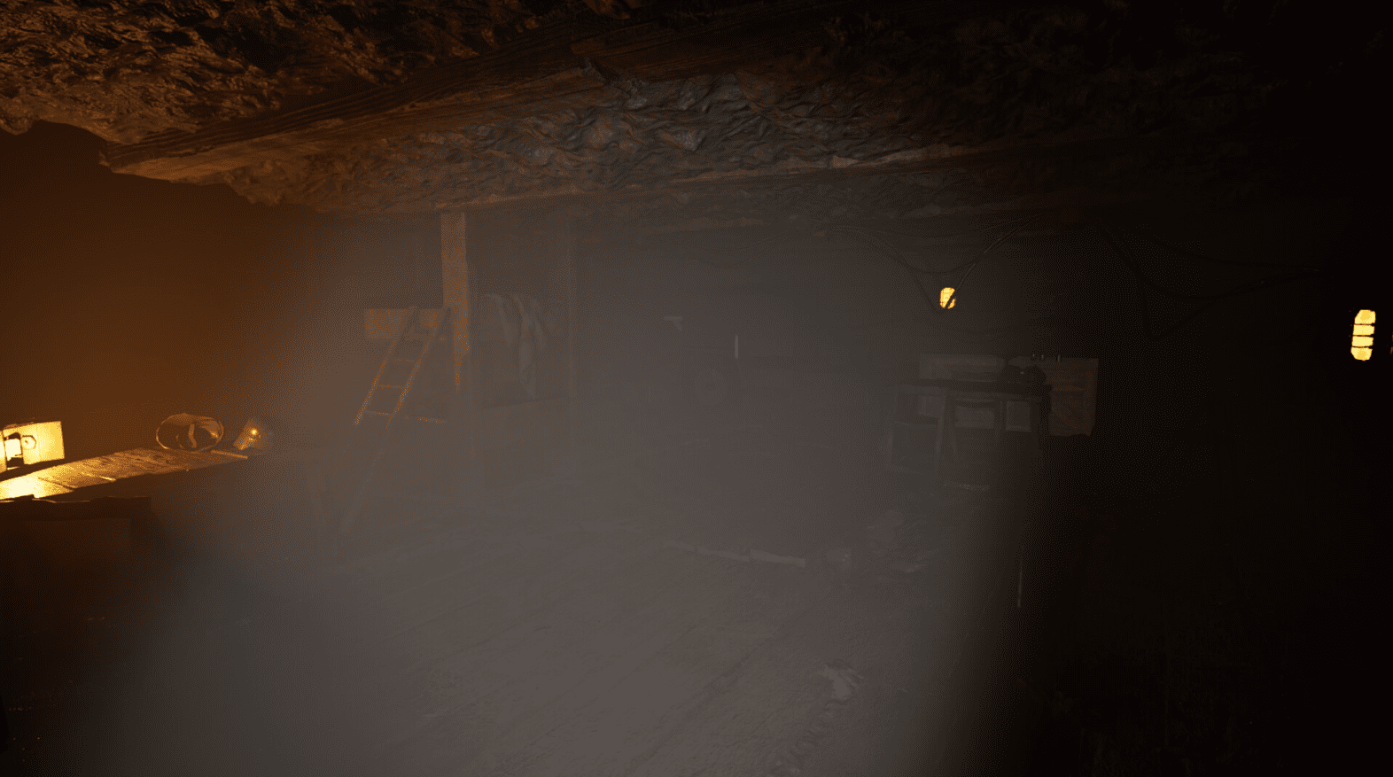 Forest The Call For Help 2