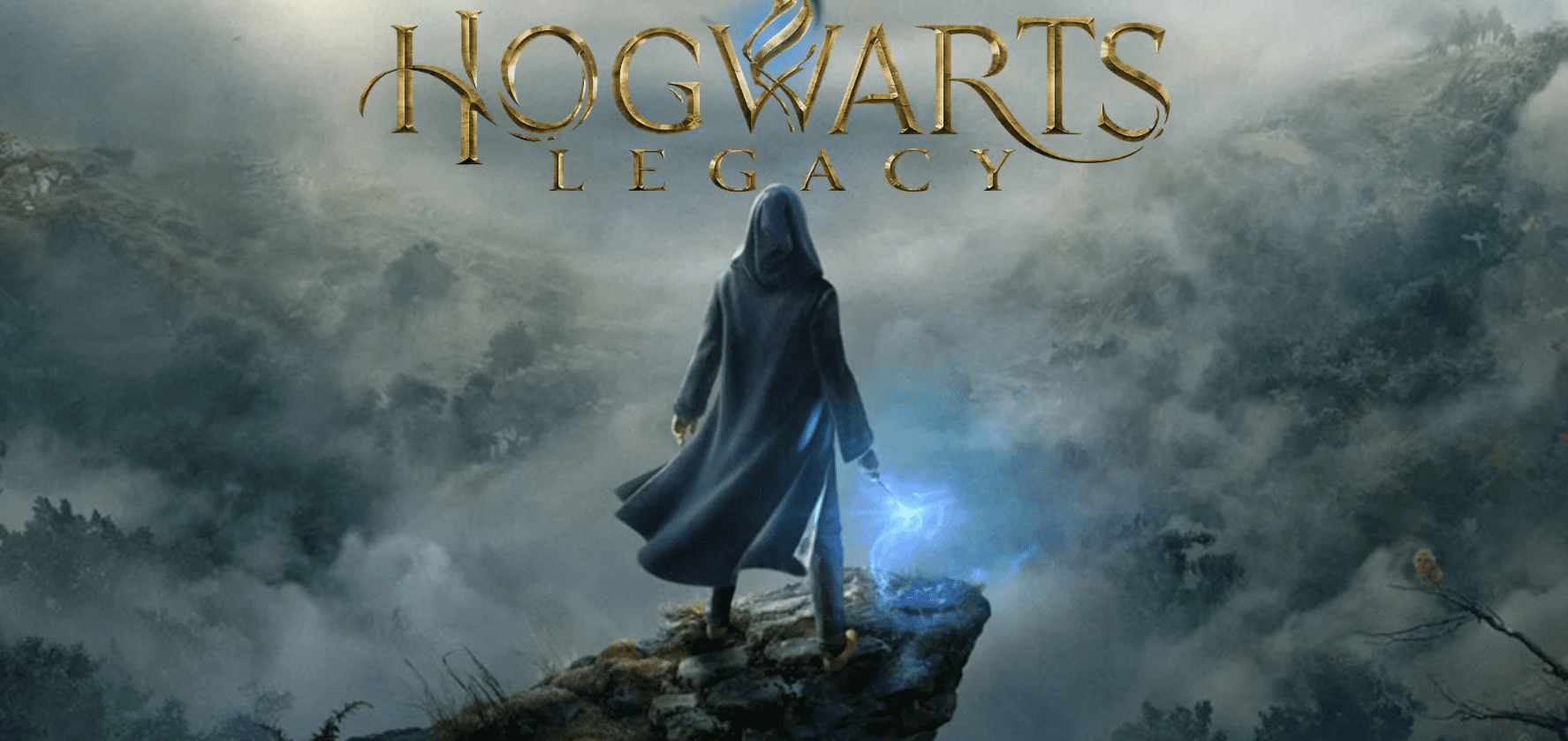 Hogwarts Legacy Deluxe Edition v1117238 (2)