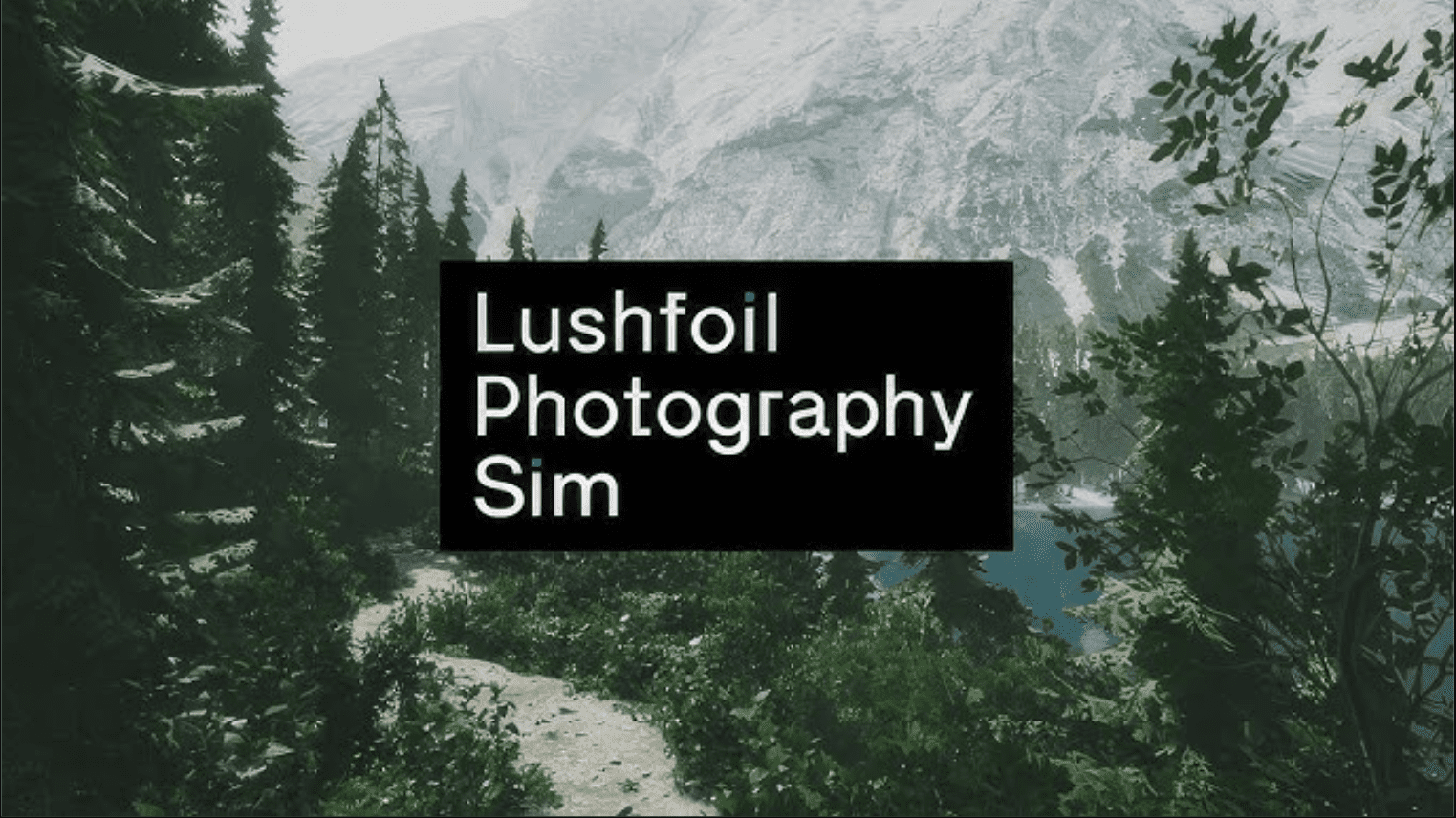 Lushfoil Photography Sim Build 18089989